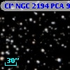 Cl* NGC 2194    PCA     928