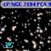 Cl* NGC 2194    PCA     937