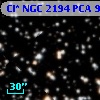 Cl* NGC 2194    PCA     944