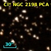 Cl* NGC 2194    PCA     947