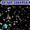 Cl* NGC 2194    PCA     951