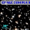 Cl* NGC 2194    PCA     953
