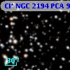 Cl* NGC 2194    PCA     954