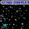 Cl* NGC 2194    PCA     957