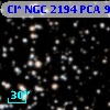 Cl* NGC 2194    PCA     961