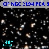 Cl* NGC 2194    PCA     962