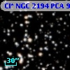Cl* NGC 2194    PCA     970