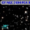 Cl* NGC 2194    PCA     975