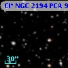 Cl* NGC 2194    PCA     977