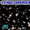 Cl* NGC 2194    PCA     982