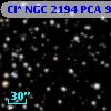 Cl* NGC 2194    PCA     984