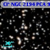 Cl* NGC 2194    PCA     986