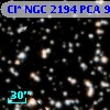 Cl* NGC 2194    PCA     992