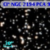 Cl* NGC 2194    PCA     994