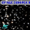 Cl* NGC 2194    PCA     998
