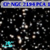 Cl* NGC 2194    PCA    1004