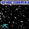 Cl* NGC 2194    PCA    1011