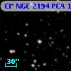 Cl* NGC 2194    PCA    1015