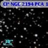 Cl* NGC 2194    PCA    1019