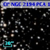 Cl* NGC 2194    PCA    1029