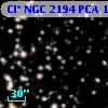 Cl* NGC 2194    PCA    1032