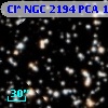 Cl* NGC 2194    PCA    1051