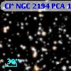 Cl* NGC 2194    PCA    1053