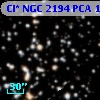 Cl* NGC 2194    PCA    1055