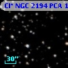 Cl* NGC 2194    PCA    1077