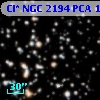 Cl* NGC 2194    PCA    1078