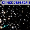 Cl* NGC 2194    PCA    1097
