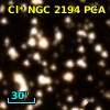 Cl* NGC 2194    PCA    1099