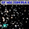 Cl* NGC 2194    PCA    1111