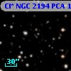 Cl* NGC 2194    PCA    1115