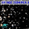 Cl* NGC 2194    PCA    1123