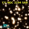 Cl* NGC 2194    PCA    1126
