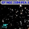 Cl* NGC 2194    PCA    1144