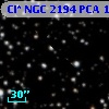 Cl* NGC 2194    PCA    1147
