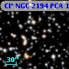 Cl* NGC 2194    PCA    1165
