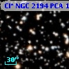 Cl* NGC 2194    PCA    1169