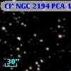 Cl* NGC 2194    PCA    1172