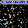 Cl* NGC 2194    PCA    1173
