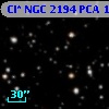 Cl* NGC 2194    PCA    1191