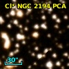 Cl* NGC 2194    PCA    1192