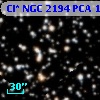 Cl* NGC 2194    PCA    1194