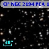 Cl* NGC 2194    PCA    1197