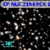 Cl* NGC 2194    PCA    1201