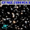 Cl* NGC 2194    PCA    1215