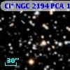 Cl* NGC 2194    PCA    1226