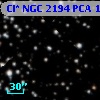 Cl* NGC 2194    PCA    1230
